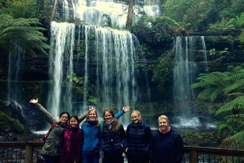 Mt Field National Park Active Day-Trip Including Bonorong And Mt Wellington - Holiday Cairns 9