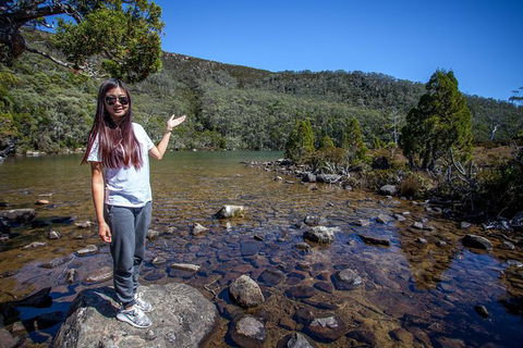 Mt Field National Park Active Day-Trip Including Bonorong And Mt Wellington - Holiday Cairns 12