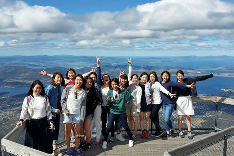 Mt Field National Park Active Day-Trip Including Bonorong And Mt Wellington - Holiday Cairns 3