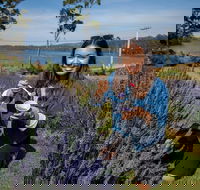 Port Arthur and Lavender Farm Active Day Tour - Holiday Cairns