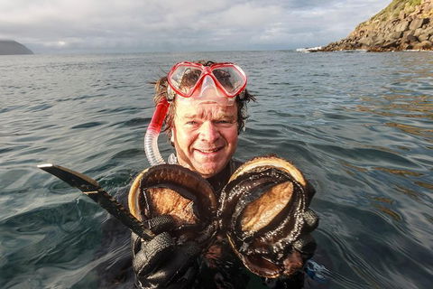 Fresh From The Ocean: Tasmanian Seafood Gourmet Full-Day Cruise Including Lunch - Holiday Cairns 1