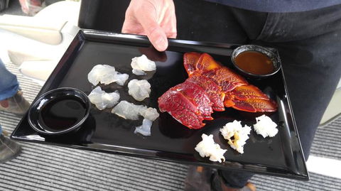 Fresh From The Ocean: Tasmanian Seafood Gourmet Full-Day Cruise Including Lunch - Holiday Cairns 5