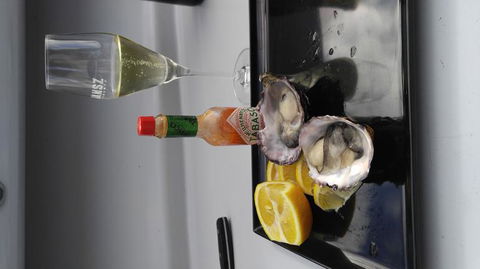 Fresh From The Ocean: Tasmanian Seafood Gourmet Full-Day Cruise Including Lunch - Holiday Cairns 10