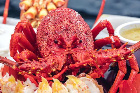 Fresh From The Ocean: Tasmanian Seafood Gourmet Full-Day Cruise Including Lunch - Holiday Cairns 15