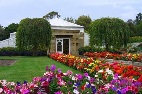 Hobart City Sightseeing Tour Including MONA Admission - Holiday Cairns 9