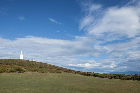 Bruny Island Premium Private Photo-oriented Day Tour From Hobart - Holiday Cairns 1
