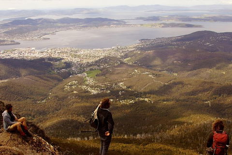 Mt Wellington Half Day Guided Summit Hike - Holiday Cairns 0