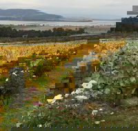 Mona and Wine Experience Tour - Holiday Cairns