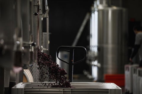 Private 90-minute Moorilla Estate Winery Tour With Tastings And Free Wine Gift - Holiday Cairns 1
