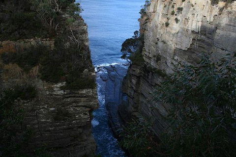 Cruise Ship Special From Port Arthur: Explore Tasman Peninsula With Free WiFi - Holiday Cairns 1