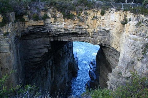 Cruise Ship Special From Port Arthur: Explore Tasman Peninsula With Free WiFi - Holiday Cairns 0