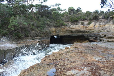 Cruise Ship Special From Port Arthur: Explore Tasman Peninsula With Free WiFi - Holiday Cairns 7