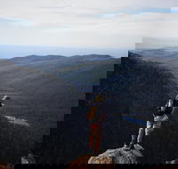 Mount Field National Park - Tarn Shelf  Russell Falls - Guided Hiking Tour - Holiday Cairns
