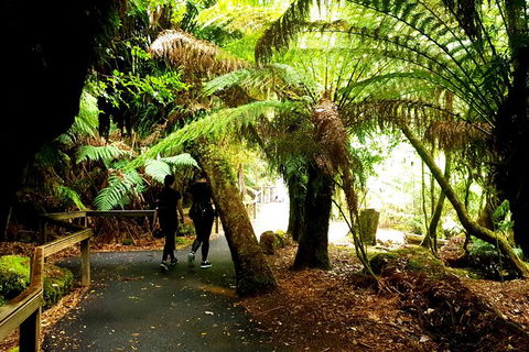 2-Day: Hiking Tour: Maria Island & Mount Field - Holiday Cairns 4