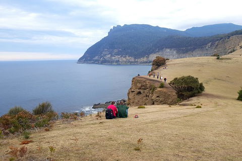 2-Day: Hiking Tour: Maria Island & Mount Field - Holiday Cairns 9