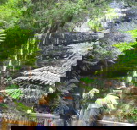 Mt Field National Park and Russell Falls from Hobart - Holiday Cairns