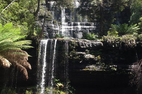 Private Mt Field National Park Day Trip From Hobart Including Salmon Ponds And Bonorong Wildlife Sanctuary - Holiday Cairns 0