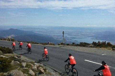 Mount Wellington Descent Cycling Tour Departs Hobart - Holiday Cairns 7