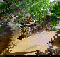Wilderness and Wildlife - Holiday Cairns