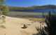 Lake St. Clair And Western Wilderness Active Day Trip From Hobart - thumb 1