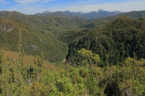 Lake St. Clair And Western Wilderness Active Day Trip From Hobart - Holiday Cairns 9