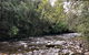 Lake St. Clair And Western Wilderness Active Day Trip From Hobart - thumb 4