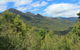 Lake St. Clair And Western Wilderness Active Day Trip From Hobart - thumb 13
