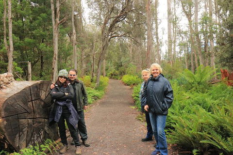 Lake St. Clair And Western Wilderness Active Day Trip From Hobart - Holiday Cairns 8