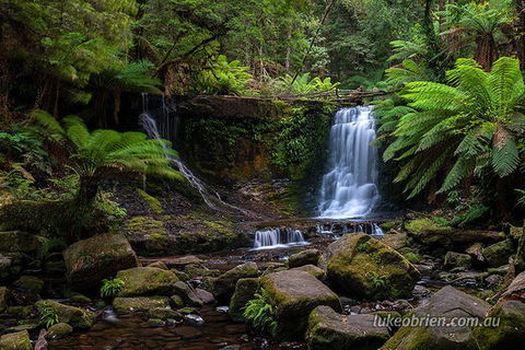 Mt Field And Styx Valley Photography Tour - Holiday Cairns 3