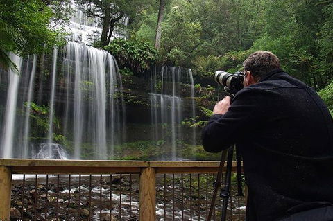 Mt Field And Styx Valley Photography Tour - Holiday Cairns 2