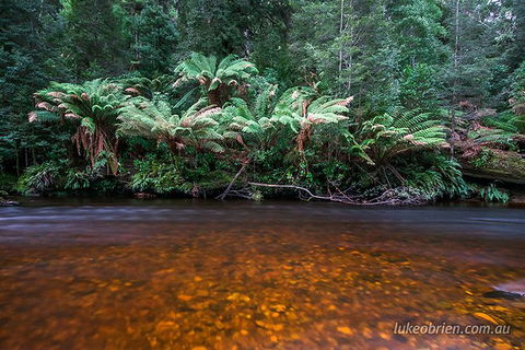 Mt Field And Styx Valley Photography Tour - Holiday Cairns 7