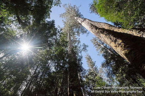 Mt Field And Styx Valley Photography Tour - Holiday Cairns 4