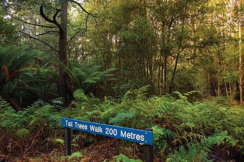 Small-group Tour From Hobart: Derwent River Valley And Coal River Valley - Holiday Cairns 7