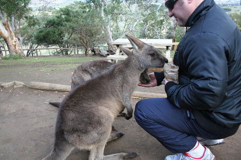 Small-group Tour From Hobart: Native Flora And Fauna, Incl. Royal Bot. Gardens - Holiday Cairns 1