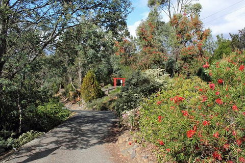 Small-group Tour From Hobart: Native Flora And Fauna, Incl. Royal Bot. Gardens - Holiday Cairns 11