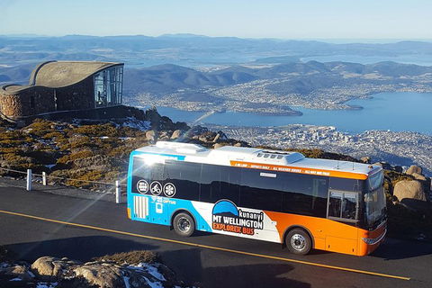 Kunany / Mt Wellington Explorer Bus - 2 Hour Return Tour - Holiday Cairns 0