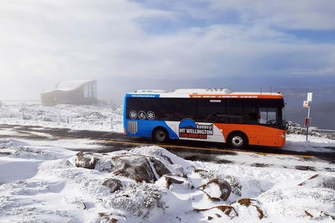 Kunany / Mt Wellington Explorer Bus - 2 Hour Return Tour - Holiday Cairns 7