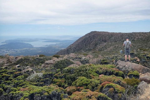 Kunany / Mt Wellington Explorer Bus - 2 Hour Return Tour - Holiday Cairns 4