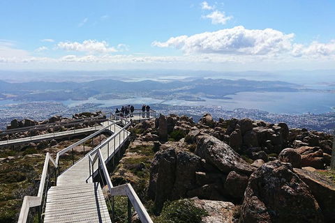 Kunany / Mt Wellington Explorer Bus - 2 Hour Return Tour - Holiday Cairns 2