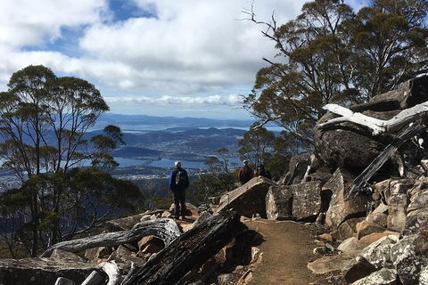 Kunany / Mt Wellington Explorer Bus - 2 Hour Return Tour - Holiday Cairns 9