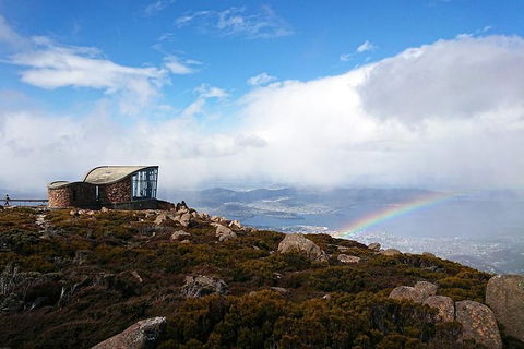 Kunany / Mt Wellington Explorer Bus - 2 Hour Return Tour - Holiday Cairns 6