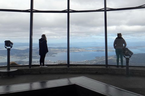 Kunany / Mt Wellington Explorer Bus - 2 Hour Return Tour - Holiday Cairns 8