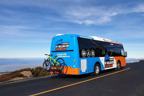 Kunany / Mt Wellington Explorer Bus - 2 Hour Return Tour - Holiday Cairns 3