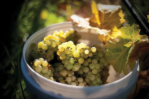 Private Richmond Food And Wine Day Trip From Hobart - Holiday Cairns 1