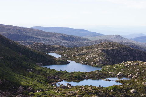 2-Day: Hobart Hiking Tour: Cape Raoul And Mount Field - Tarn Shelf - Holiday Cairns 9