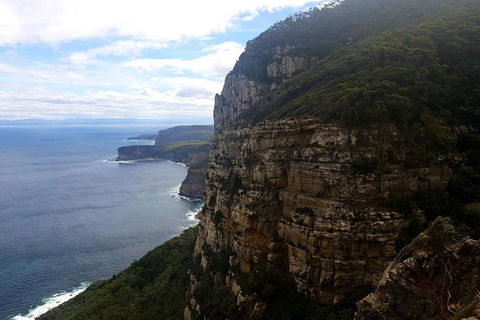 2-Day: Hobart Hiking Tour: Cape Raoul And Mount Field - Tarn Shelf - Holiday Cairns 7