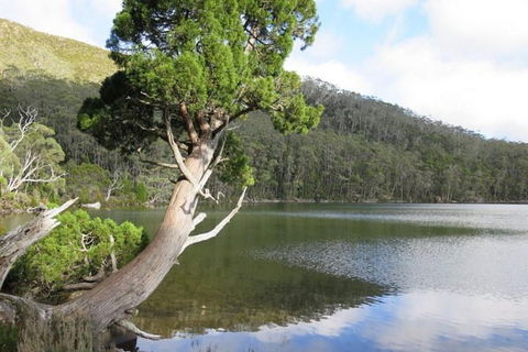2-Day: Hobart Hiking Tour: Cape Raoul And Mount Field - Tarn Shelf - Holiday Cairns 3