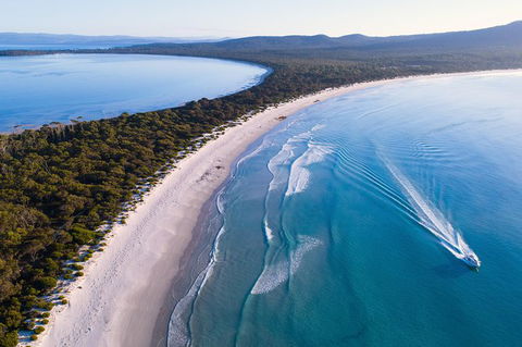 Maria Island Cruise + Walk. Renowned Day Tour With Drinks And Guided Walk - Holiday Cairns 0