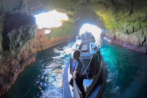 Maria Island Cruise + Walk. Renowned Day Tour With Drinks And Guided Walk - Holiday Cairns 4