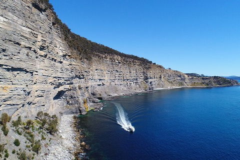 Maria Island Cruise + Walk. Renowned Day Tour With Drinks And Guided Walk - Holiday Cairns 13